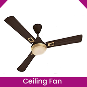 Ceiling Fan